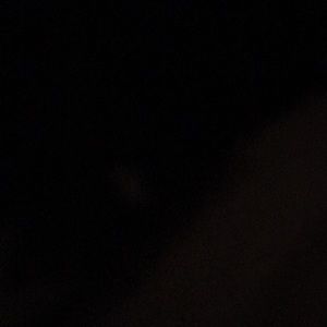 Meet your Posher, Ally